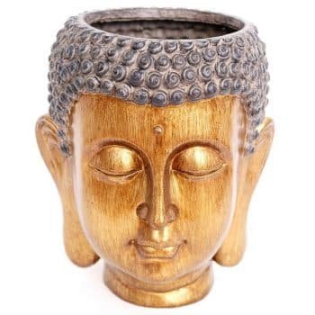 bouddha-cache-pot